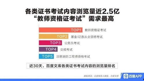 社会热点话题事件2025 独家爆料最新消息 网红大瓜等你来开,社会热点事件大揭秘，网红大瓜等你来开